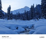 원플러스 15T 카메라, 출시 전 정보 공개